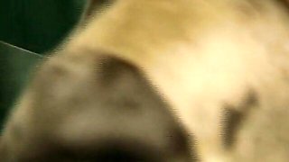 Prurient fancy woman's brunette movie
