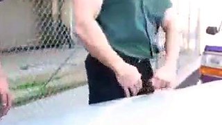 Daddy's Outdoor Lunch Break Blowjob