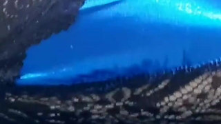 My Videos Are Now Downloadable!take Advantage of Huge Discount,and Fill up Your Collection!!