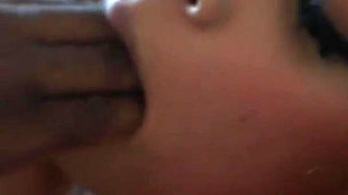 Schoolgirl the Stallion