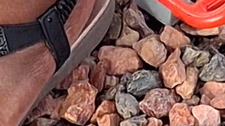 Thick Ebony Thighs N BBW Mature Feet with Plump Juicy Yellow Toes