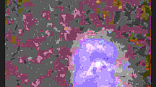 I take my sister-in-law at dawn when she rests