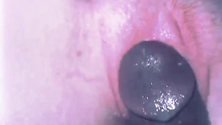 Sucking a Big Dick I’m Only 18