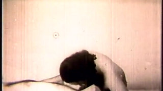 Black and white sex film