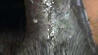 Nikki Sexxx busty blonde have group sex on couch