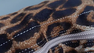 How Amazing Is the Detail on My Leopard Print Boots