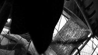 Amateur Hidden Cams Reveal Cock Riding Hoes