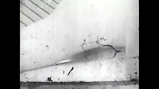 Antique sunbathing slut gives wild blowjob and gets creampie fucked