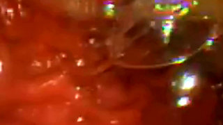 Inside Me the Journey of the Orange