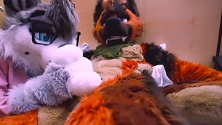 Free xxx hardcore amateur blowjobs