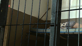 Pretty Blonde Girl Is Chained to the Ground to Be Tormented by Three Men