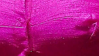 Stepmother Mohini Sex with Her Stepson