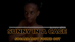 Sunny in a Cage