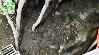 Desi Aunty Midnight Sex With Neighbour