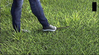 College Kings 34 I Cant Believe We Saw People Fucking and I Got to Fuck Emily While She on a Date with Ryan