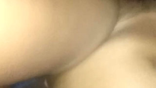 Bring on the Squirrels