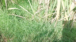 Anal fucking with a thick cucumber.