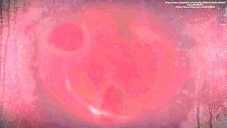 B061 Vaginal Phagocytosis Two Women Manipulate a Man Shrunk to the Size of a Toy in an Extremely Dominant Manner.