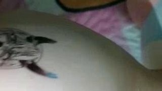 Bustys Cam Webcam Big Boobs Free Big Boobs Cam Porn Video