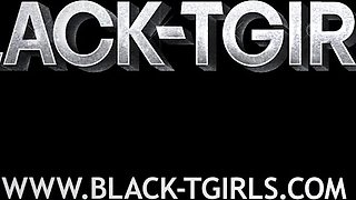 BLACK TGIRLS - Compilation Updates 14th to 18th Jul '25