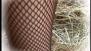 All Olga's Perversions