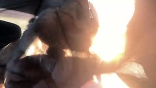Fur-coated stepmom gives stepson a blowjob in the car