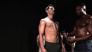 NEEIIIGH-uh-ohhh! One mare TRIPLE BREEDING!