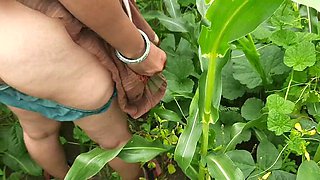 My sister-in-law became a mare in the field of maize