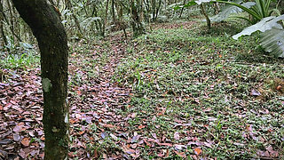 I Went with My Stepsister to Fuck in the Woods