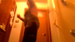 Slow Dace Take Your Clothes off with Me First Date