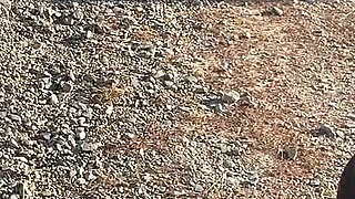 Pounding Vilu Vidish in the Public Toilet