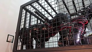 Lesbian Chinese Bondage