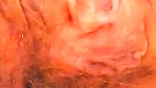 Come Pee with Me! a Compilation