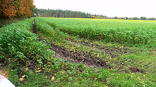 She Gets Tit Slapped During Hiking Tour