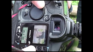 A Body Full of Tattoos to Be Penetrated