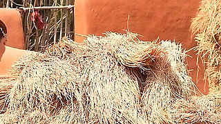 Village Girl and City Boy