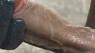 Let's Cut Your Dick and Set It on Fire!
