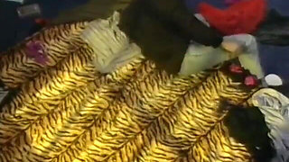 Classic German Vintage Hardcore Porn (1994)