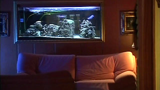 In the Pool He Licks Her Pussy and Then Breaks Her Ass