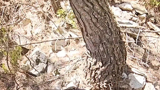 Compilation Love Having Hot Sperm All Over My Face