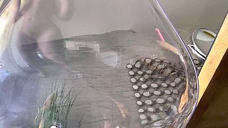 Amateur striptease and Solo masturbation