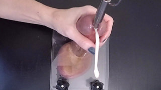 Clearing the Urethra Results in Copious Sperm Flow