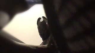 Cheating Girlfriend Sucked My Dick on Her Break