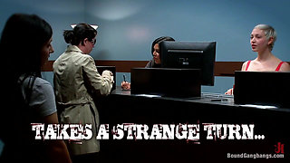 Pandamonium!!! Panda Lullaby!!! Panda Porno!!!!!