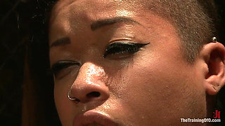 Skin Diamond Day One Slave Ransom