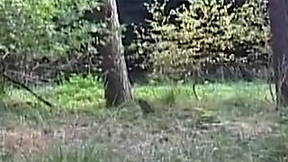 Big boobs babe sent to forest naked