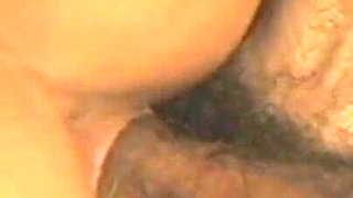 Pussy Hungry Cocks
