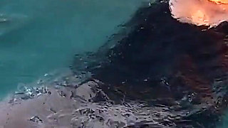 Beautiful Stepmother Takes Out Her Tits on the Beach so I Can Jerk off