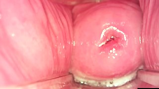 TeenFidelity-Big Creampie, Lily Larimar