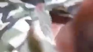 Tribal village girl fuck outdoor sex mms clip Telegram @ZodxKing